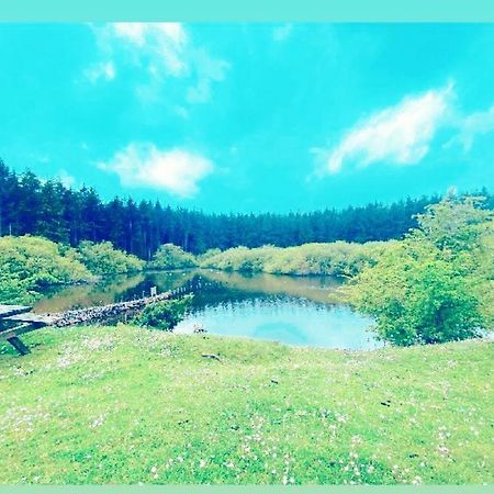 Вілла The Snug At Coed Y Gaer Освестрі Екстер'єр фото