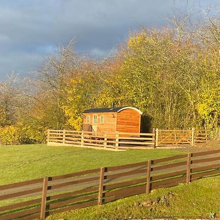 Вілла The Snug At Coed Y Gaer Освестрі Екстер'єр фото