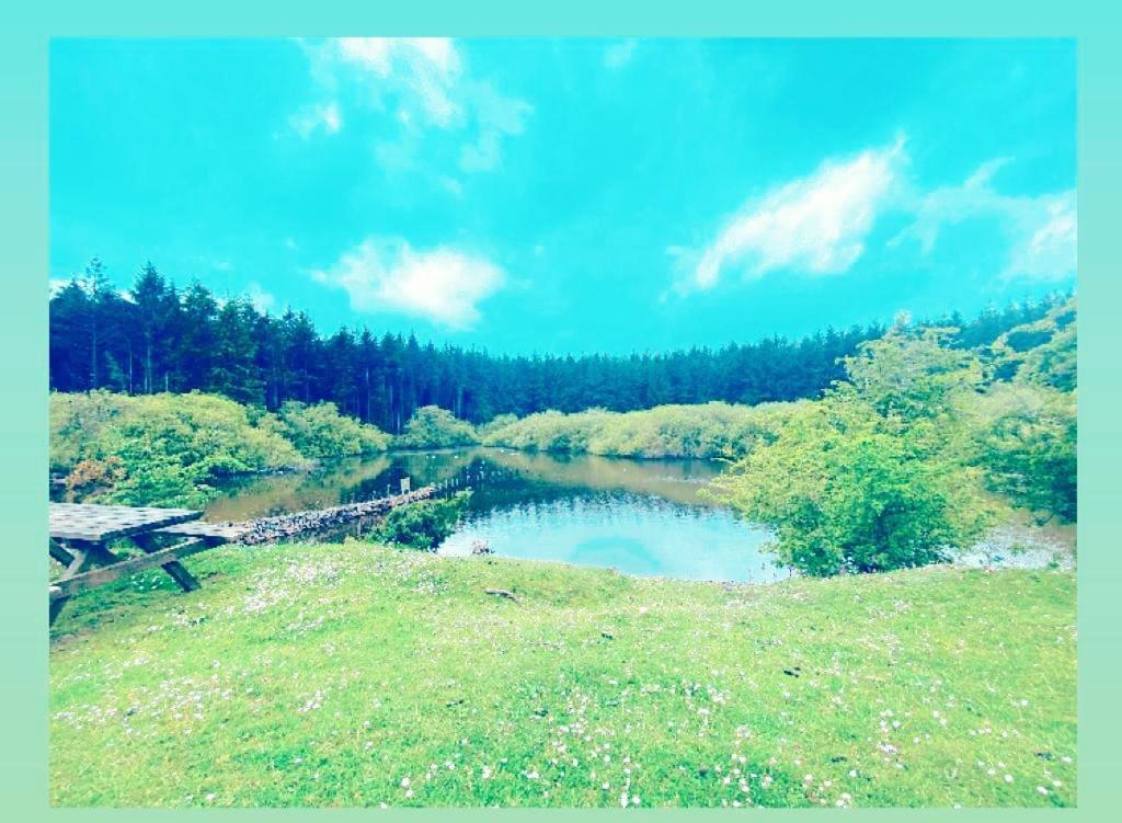Вілла The Snug At Coed Y Gaer Освестрі Екстер'єр фото