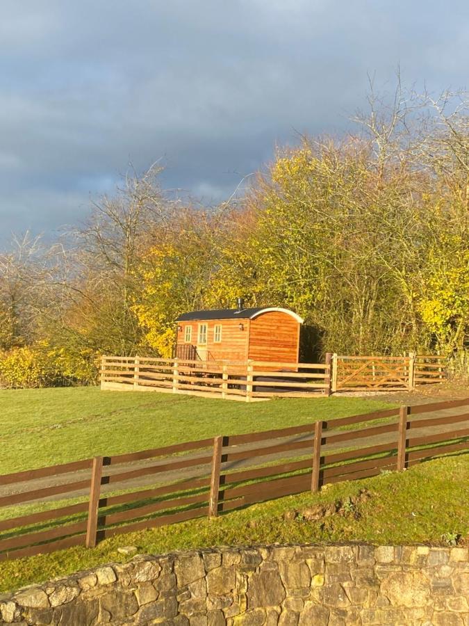 Вілла The Snug At Coed Y Gaer Освестрі Екстер'єр фото